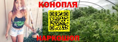 прущие грибы Анжеро-Судженск