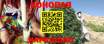 прущие грибы Анжеро-Судженск